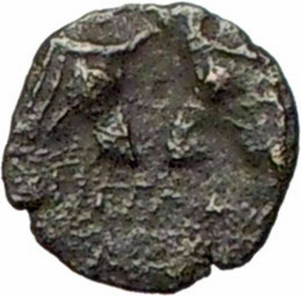 Pergamon in Asia Minor 300BC Very rare Greek Coin Athena Cult Bulls i28077