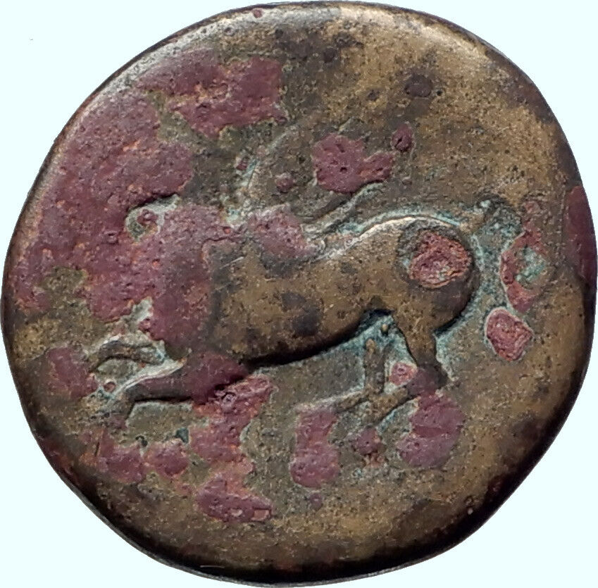 SYRACUSE Sicily Apollo Pegasus Winged Horse Ancient Authentic Greek Coin i41263