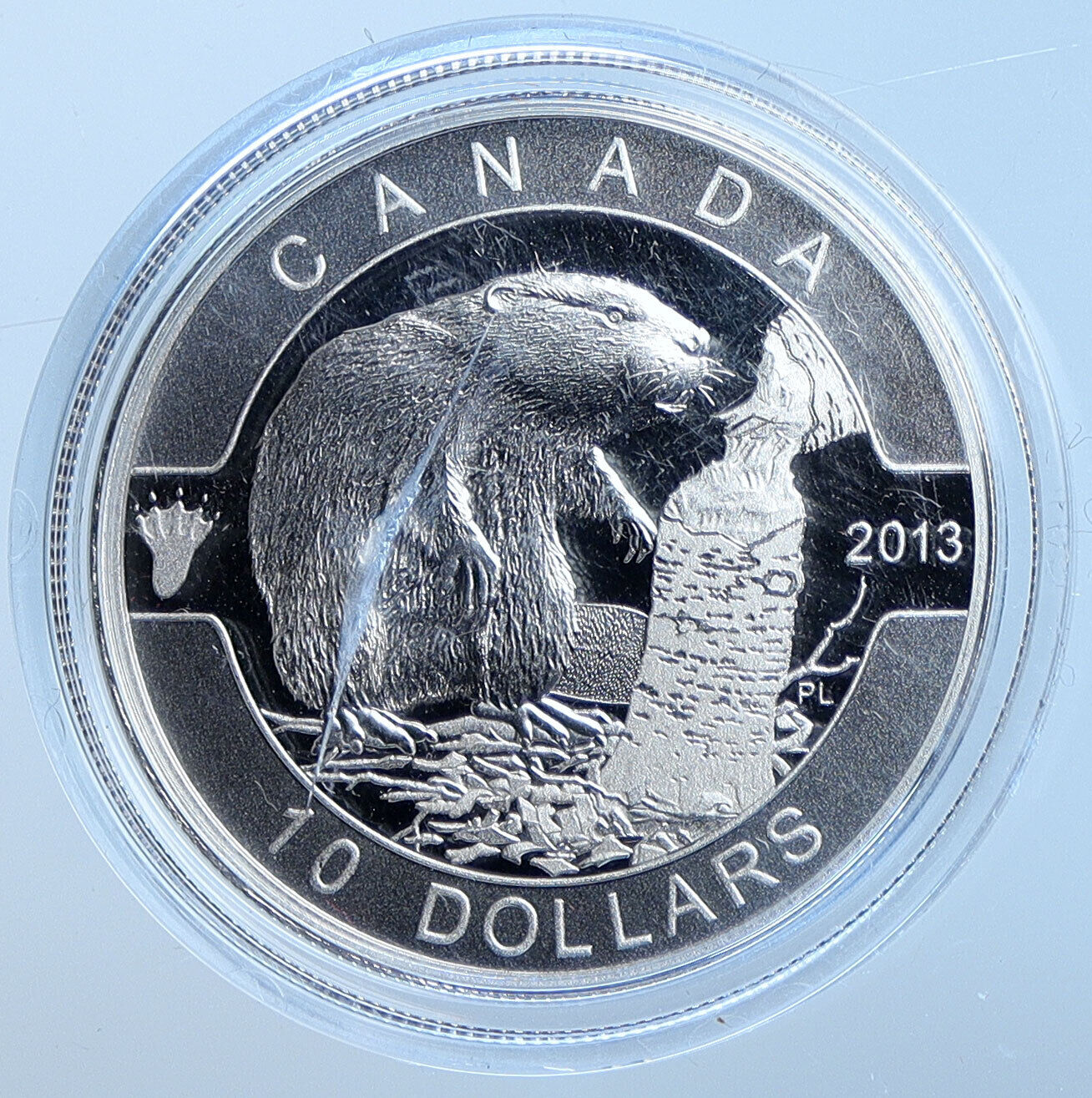 2013 CANADA Elizabeth II BEAVER Identity OLD Proof Silver 10 Dollar Coin i114575