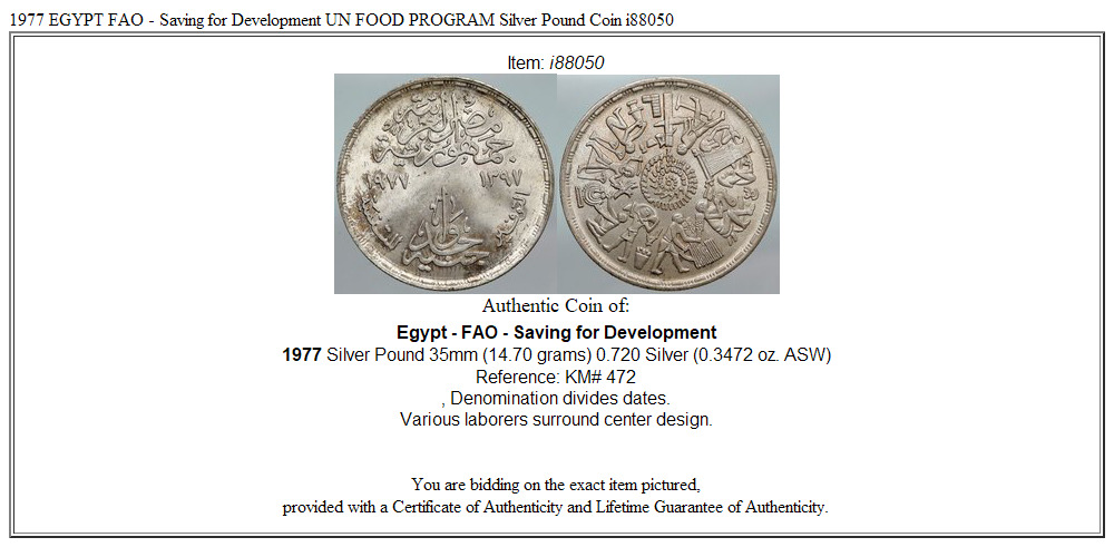 1977 EGYPT FAO - Saving for Development UN FOOD PROGRAM Silver Pound Coin i88050