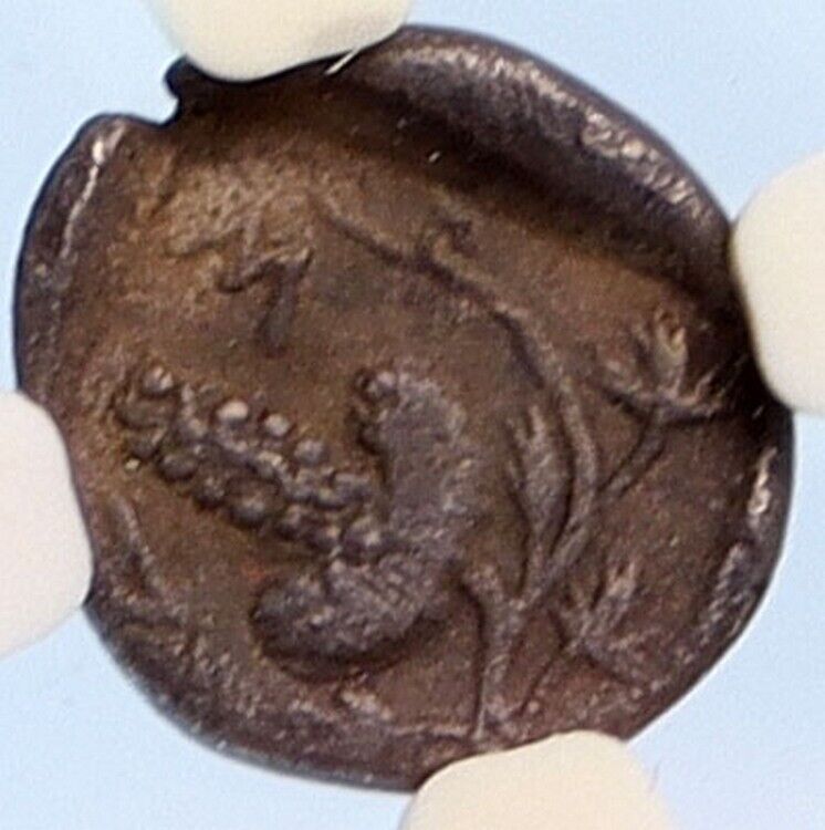 Odrysian King SARATOKOS Ancient Greek 444BC Coin of Thrace Ancient NGC i66855