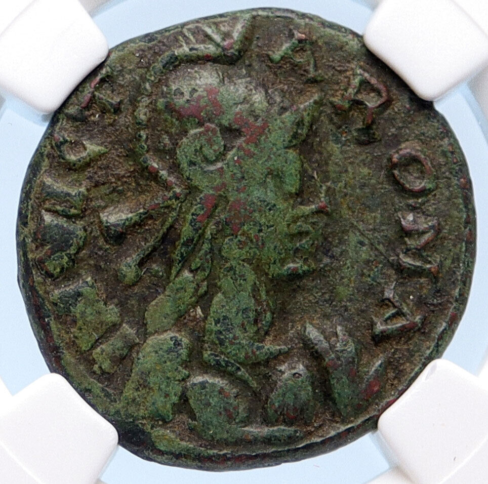 OSTROGOTHS Municipal Coinage of ROME Ancient 493AD Roman Style Coin NGC i68146