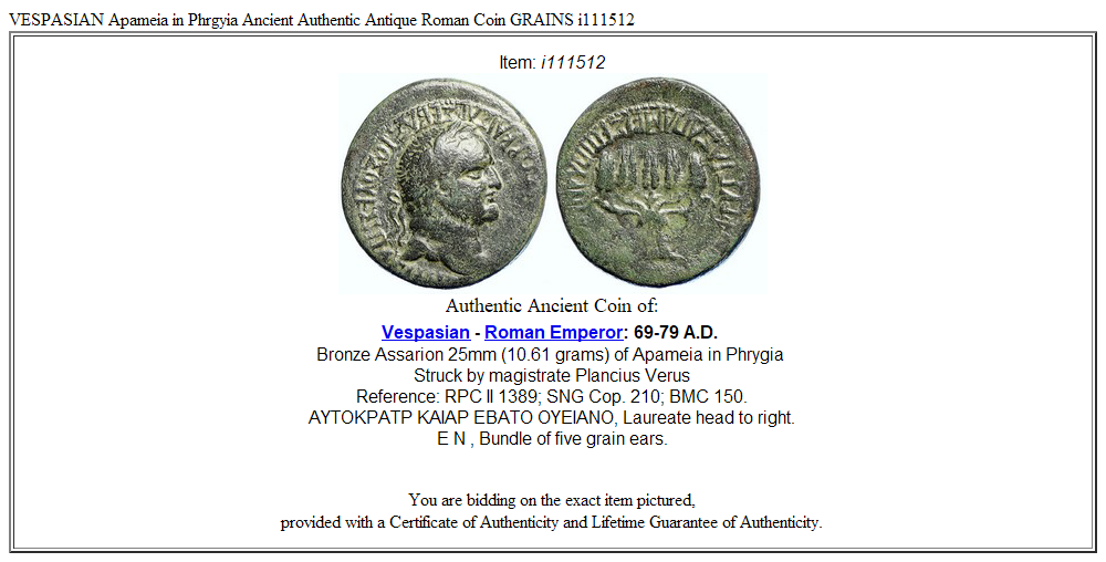 VESPASIAN Apameia in Phrgyia Ancient Authentic Antique Roman Coin GRAINS i111512