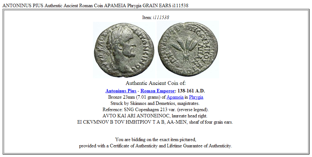 ANTONINUS PIUS Authentic Ancient Roman Coin APAMEIA Phrygia GRAIN EARS i111538