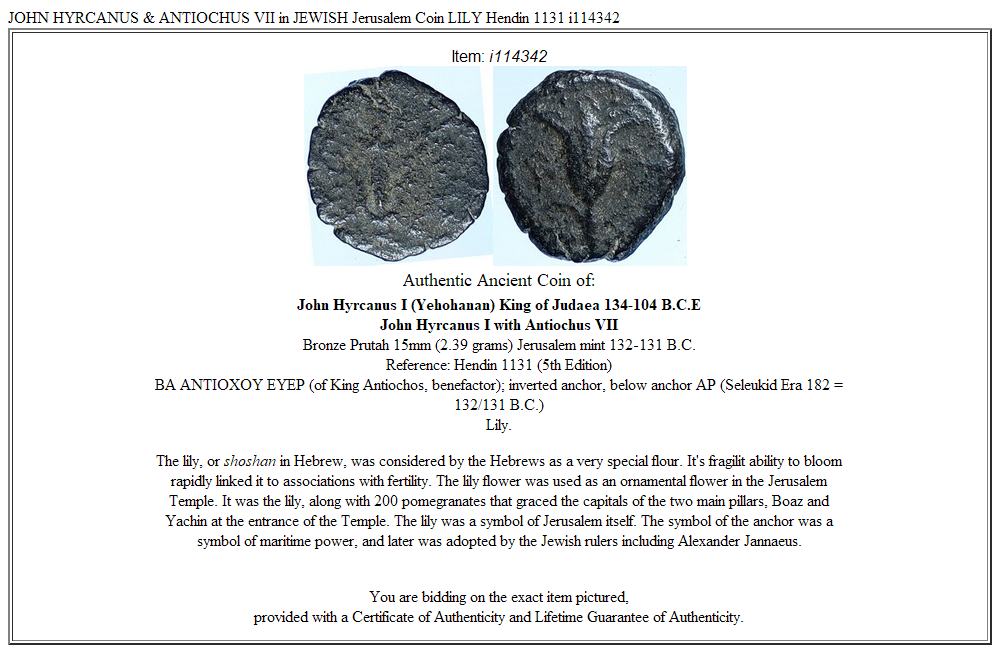 JOHN HYRCANUS & ANTIOCHUS VII in JEWISH Jerusalem Coin LILY Hendin 1131 i114342