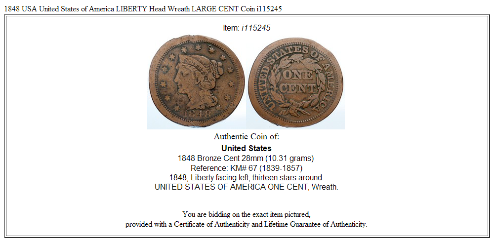 1848 USA United States of America LIBERTY Head Wreath LARGE CENT Coin i115245