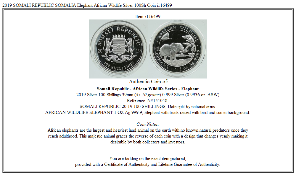 2019 SOMALI REPUBLIC SOMALIA Elephant African Wildlife Silver 100Sh Coin i116499