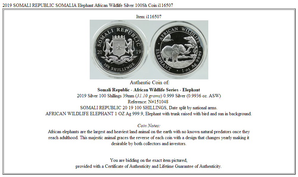 2019 SOMALI REPUBLIC SOMALIA Elephant African Wildlife Silver 100Sh Coin i116507