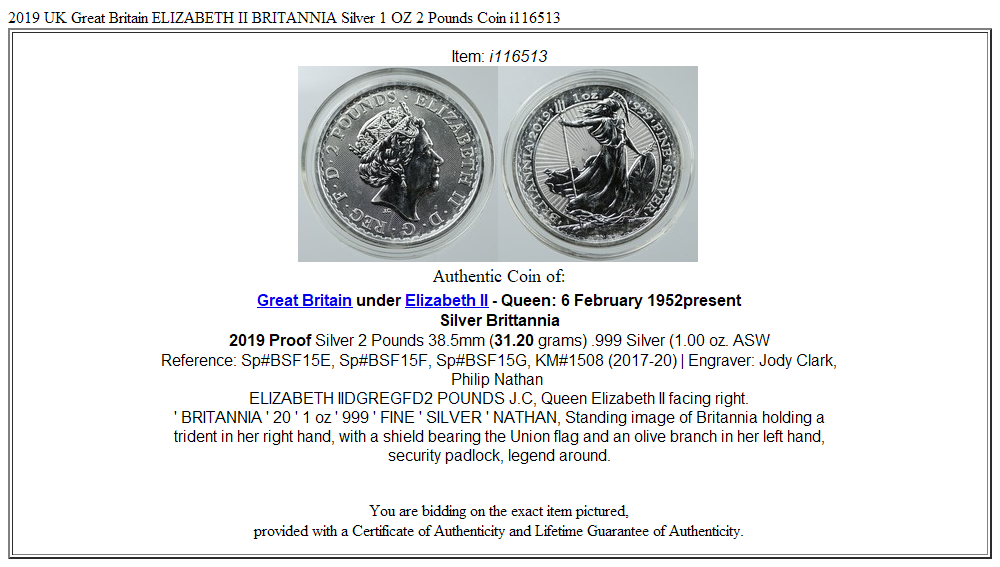 2019 UK Great Britain ELIZABETH II BRITANNIA Silver 1 OZ 2 Pounds Coin i116513