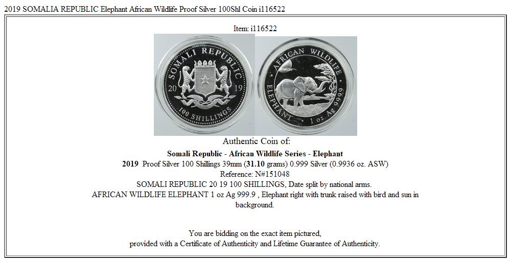 2019 SOMALIA REPUBLIC Elephant African Wildlife Proof Silver 100Shl Coin i116522