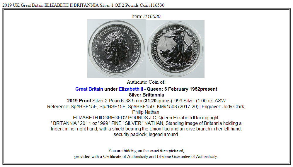 2019 UK Great Britain ELIZABETH II BRITANNIA Silver 1 OZ 2 Pounds Coin i116530