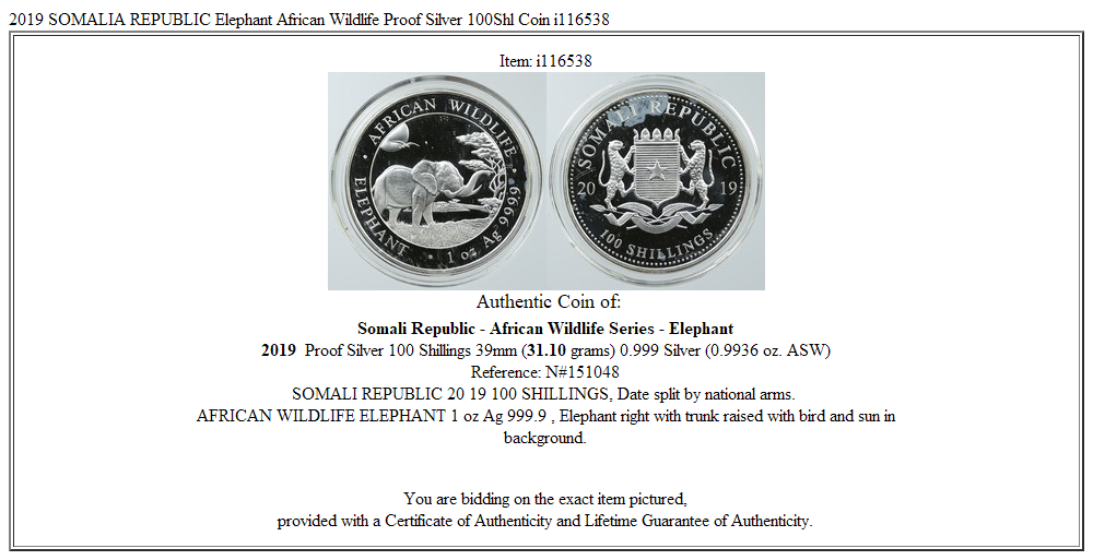 2019 SOMALIA REPUBLIC Elephant African Wildlife Proof Silver 100Shl Coin i116538