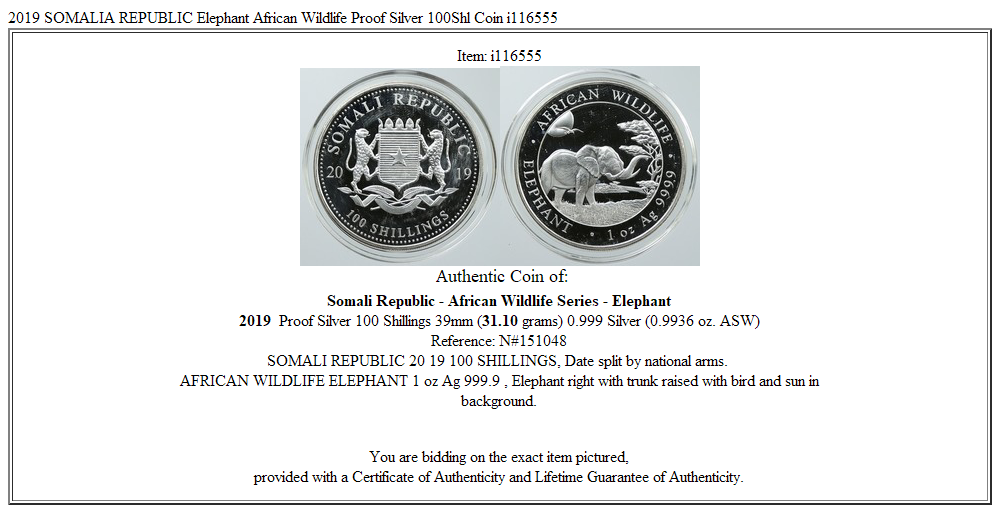 2019 SOMALIA REPUBLIC Elephant African Wildlife Proof Silver 100Shl Coin i116555