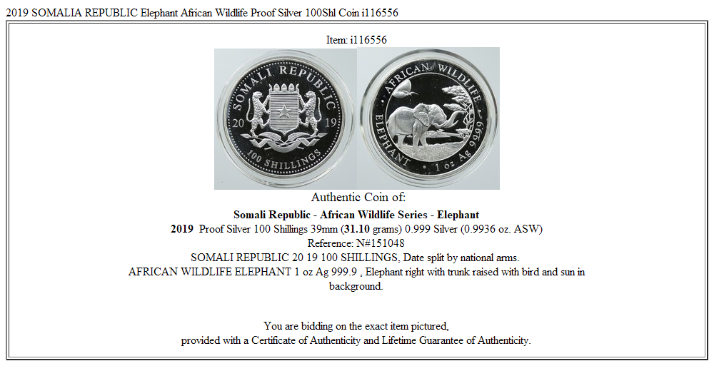 2019 SOMALIA REPUBLIC Elephant African Wildlife Proof Silver 100Shl Coin i116556