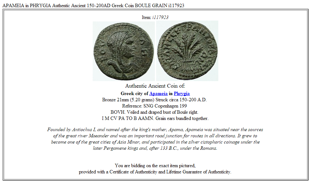 APAMEIA in PHRYGIA Authentic Ancient 150-200AD Greek Coin BOULE GRAIN i117923