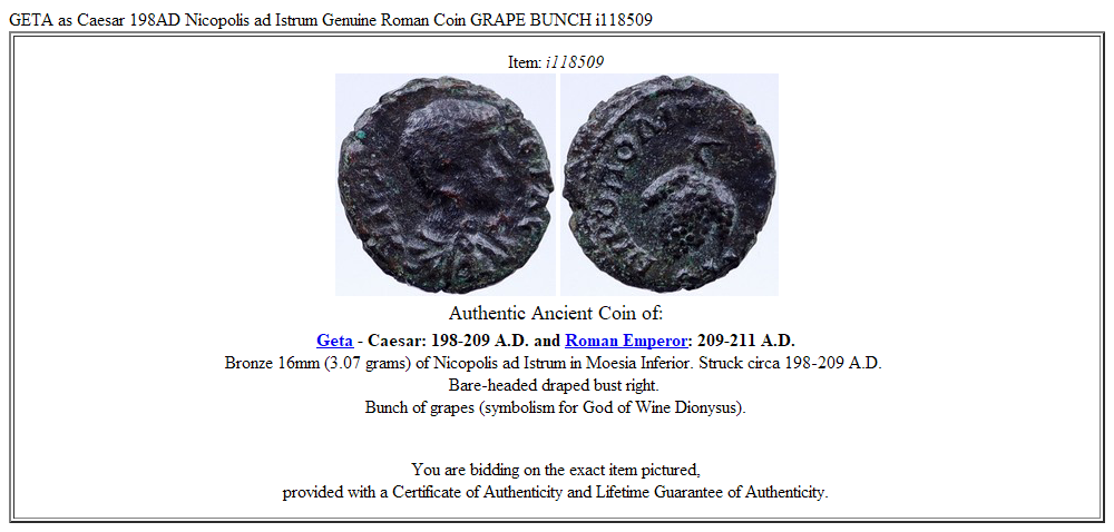 GETA as Caesar 198AD Nicopolis ad Istrum Genuine Roman Coin GRAPE BUNCH i118509