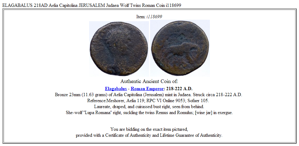 ELAGABALUS 218AD Aelia Capitolina JERUSALEM Judaea Wolf Twins Roman Coin i118699