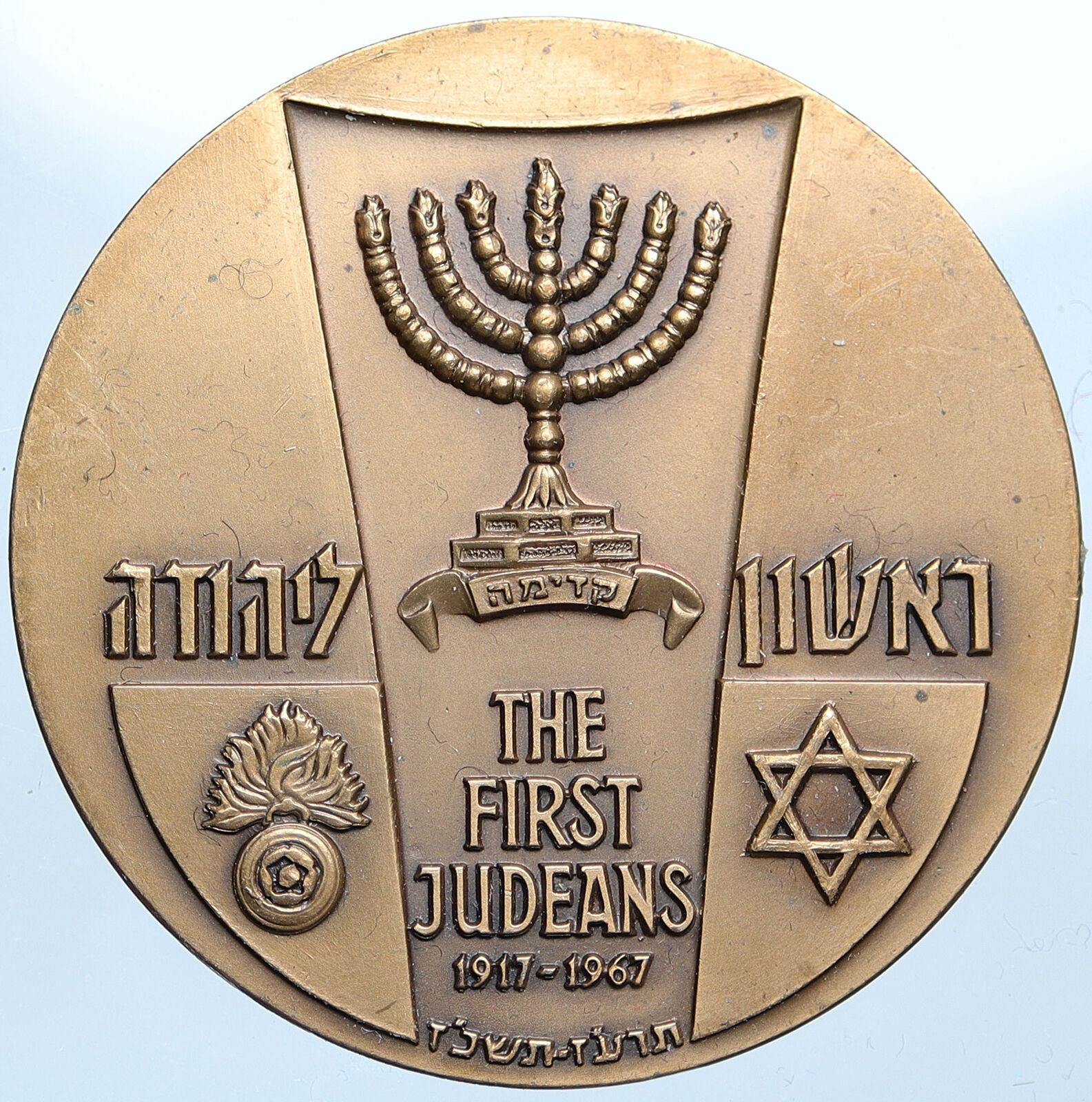 1967 ISRAEL First Judeans Armed Vanguard Sons SOLDIER & Plant OLD Medal i114886