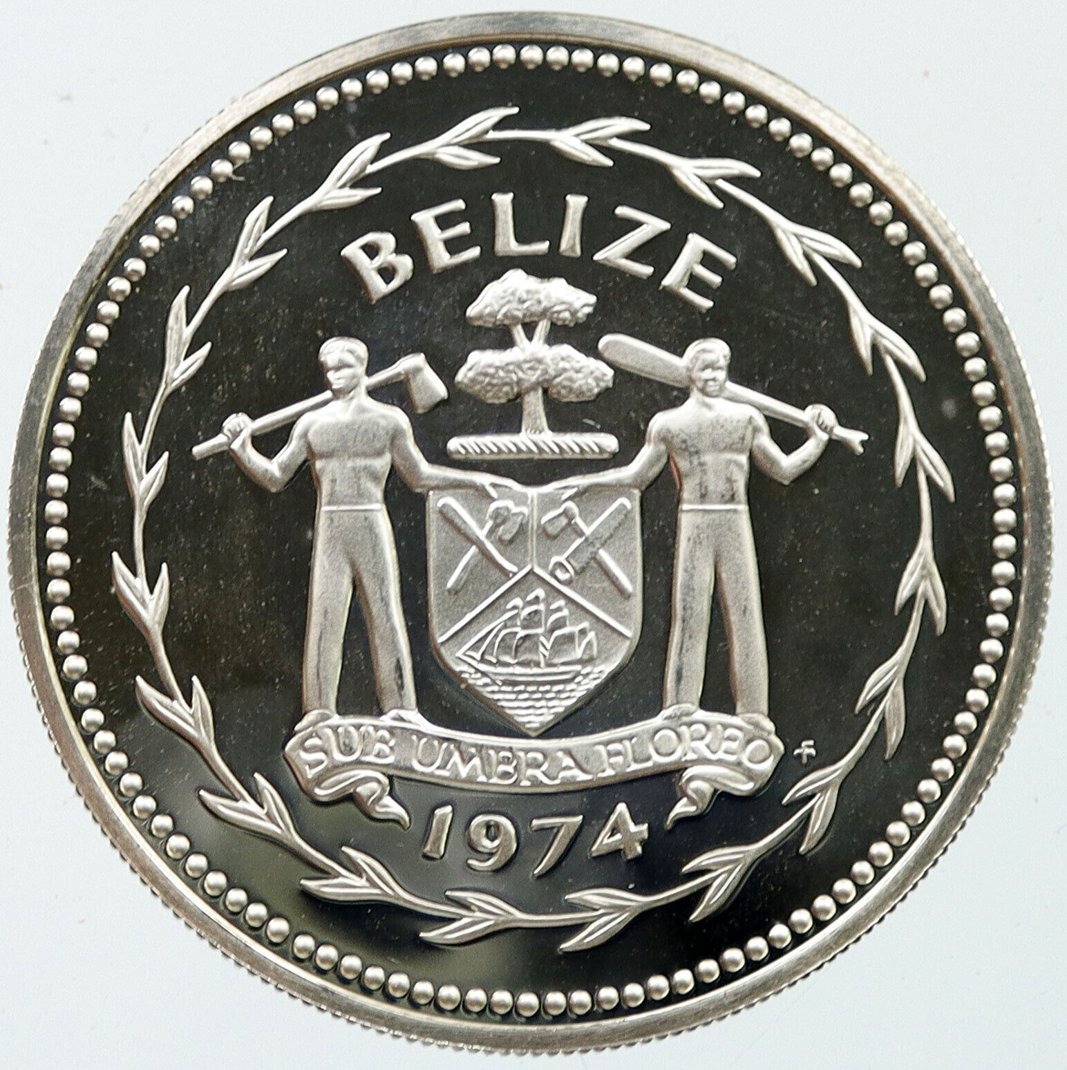 1974 BELIZE Avifauna Great Curasso BIRD VINTAGE Proof Silver $10 Coin i116024