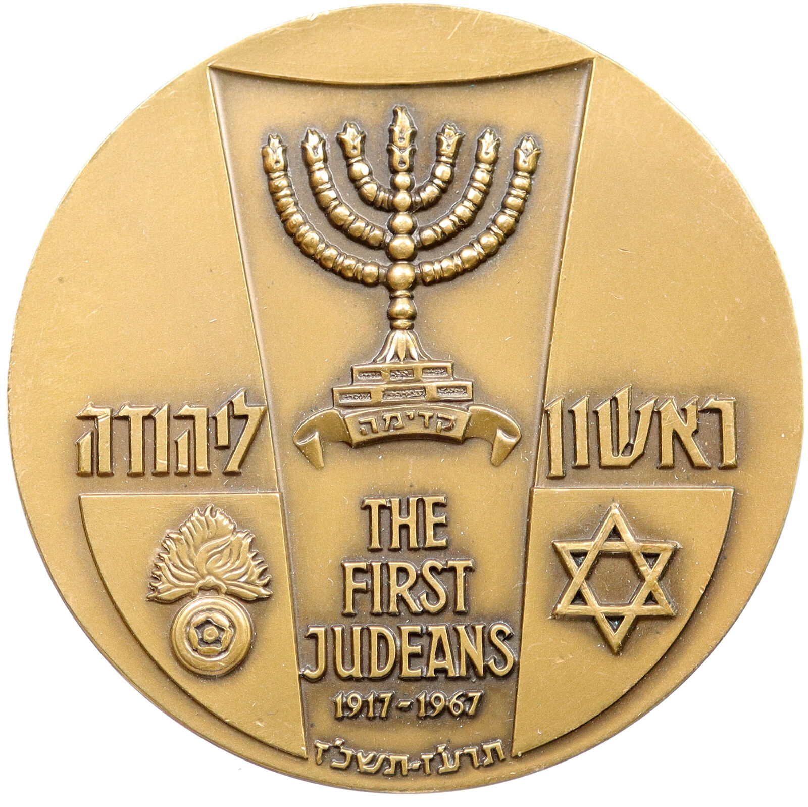 1967 ISRAEL First Judeans Armed Vanguard Sons SOLDIER & Plant OLD Medal i115708