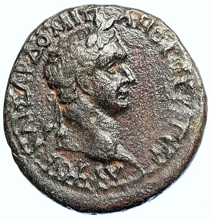 DOMITIAN Authentic Ancient c. 81 AD Perinthus THRACE Roman Coin Dionysos i111490