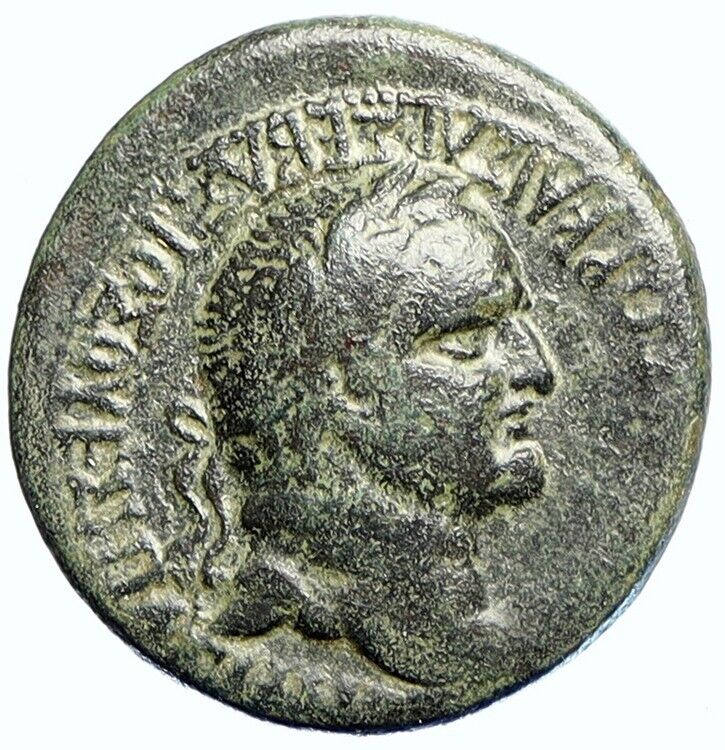 VESPASIAN Apameia in Phrgyia Ancient Authentic Antique Roman Coin GRAINS i111512