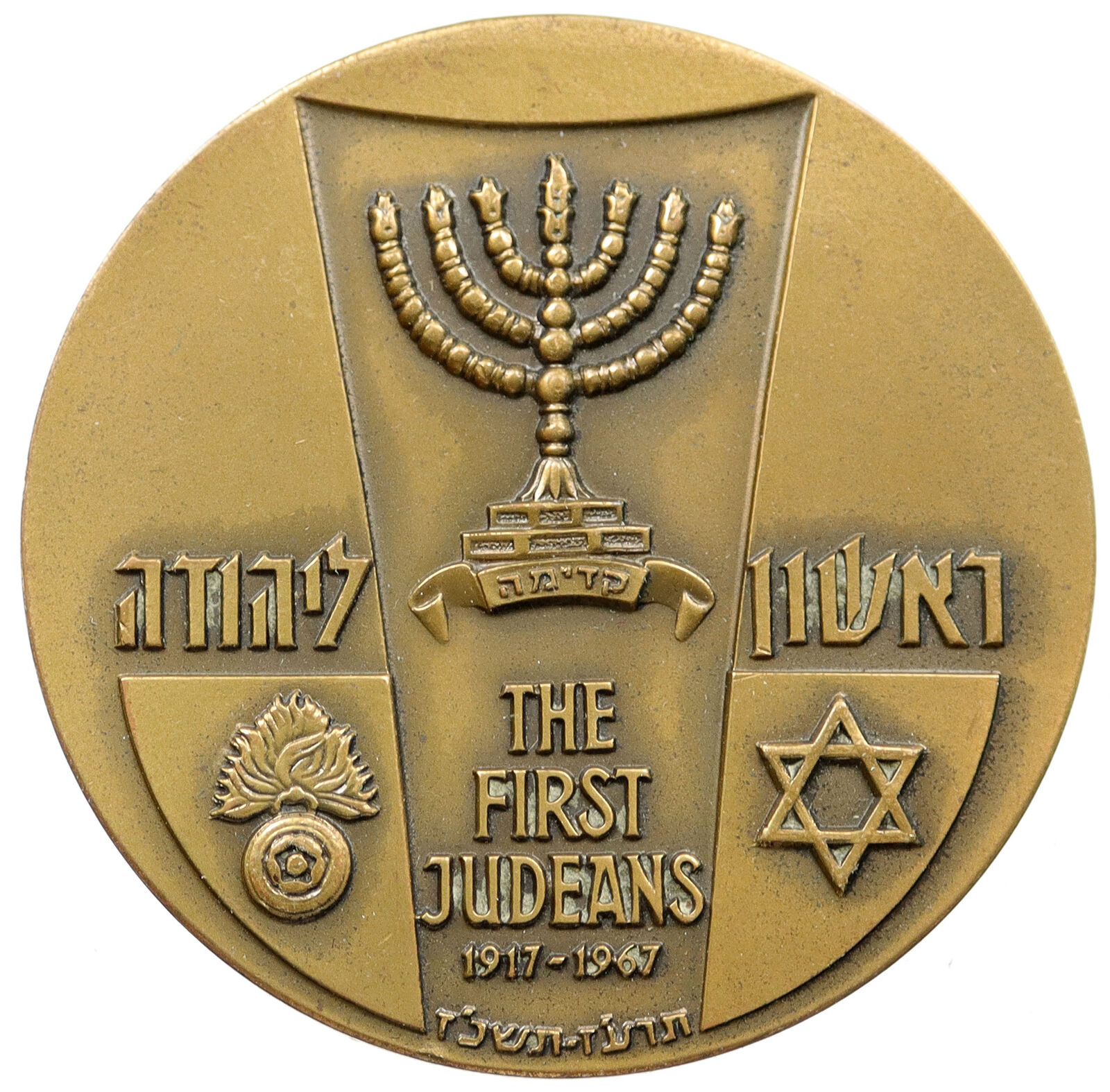 1967 ISRAEL First Judeans Armed Vanguard Sons SOLDIER & Plant OLD Medal i115593