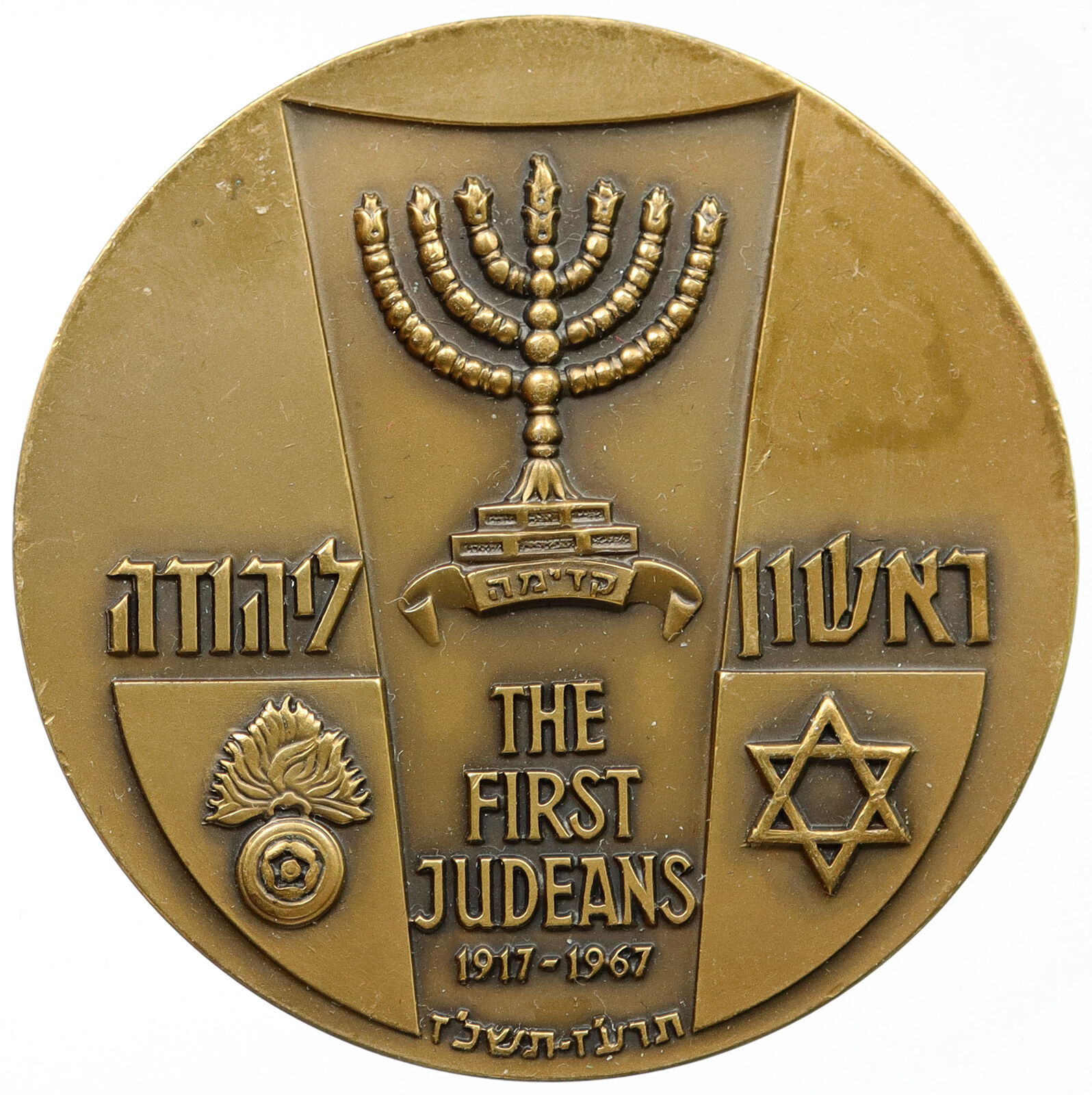 1967 ISRAEL First Judeans Armed Vanguard Sons SOLDIER & Plant OLD Medal i115565