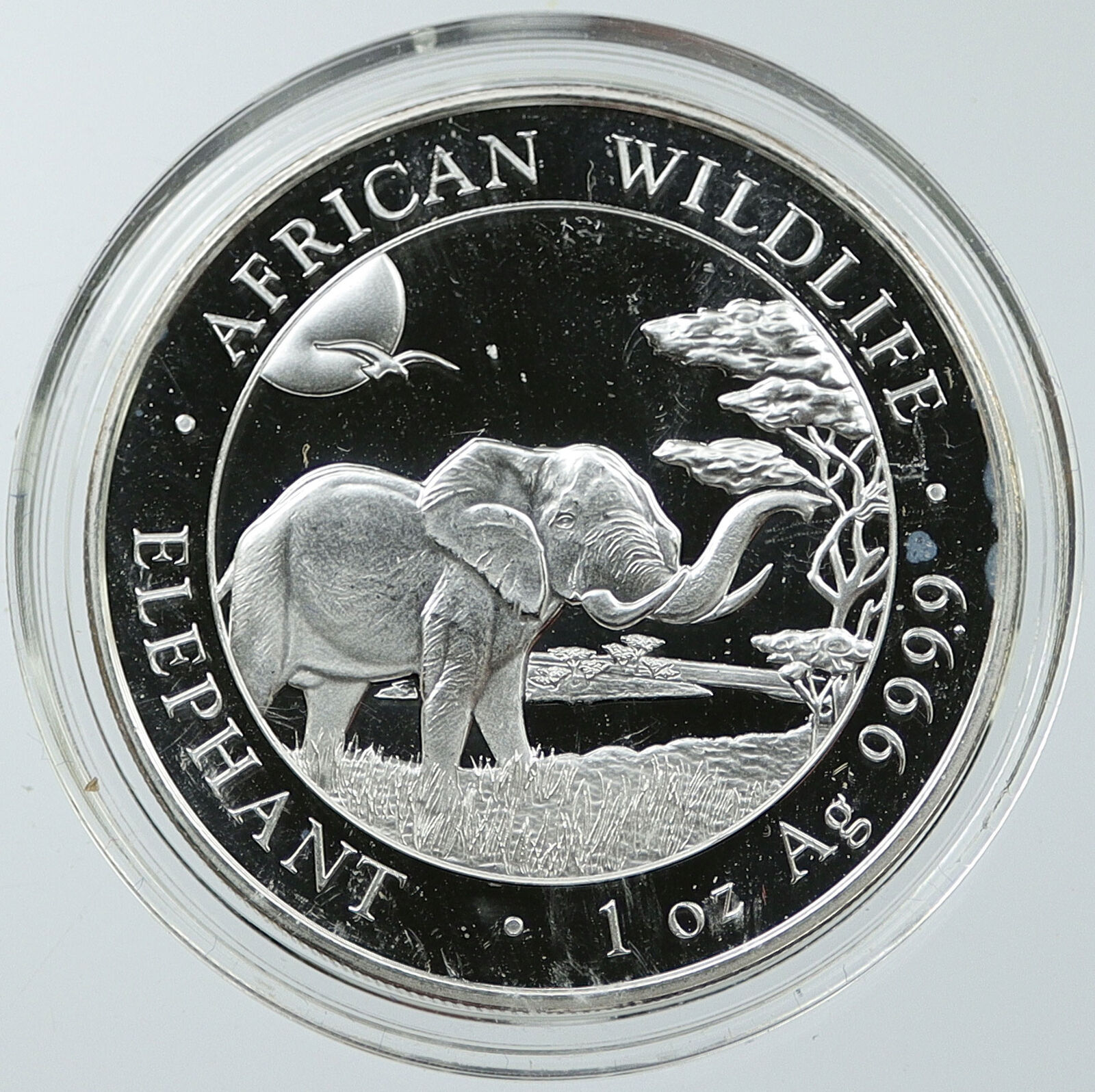 2019 SOMALIA REPUBLIC Elephant African Wildlife Proof Silver 100Shl Coin i116538