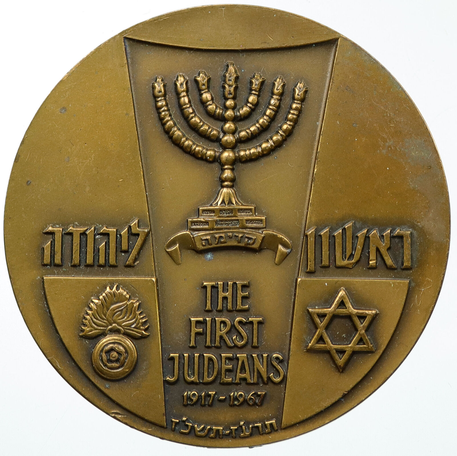 1967 ISRAEL First Judeans Armed Vanguard Sons SOLDIER & Plant OLD Medal i114754