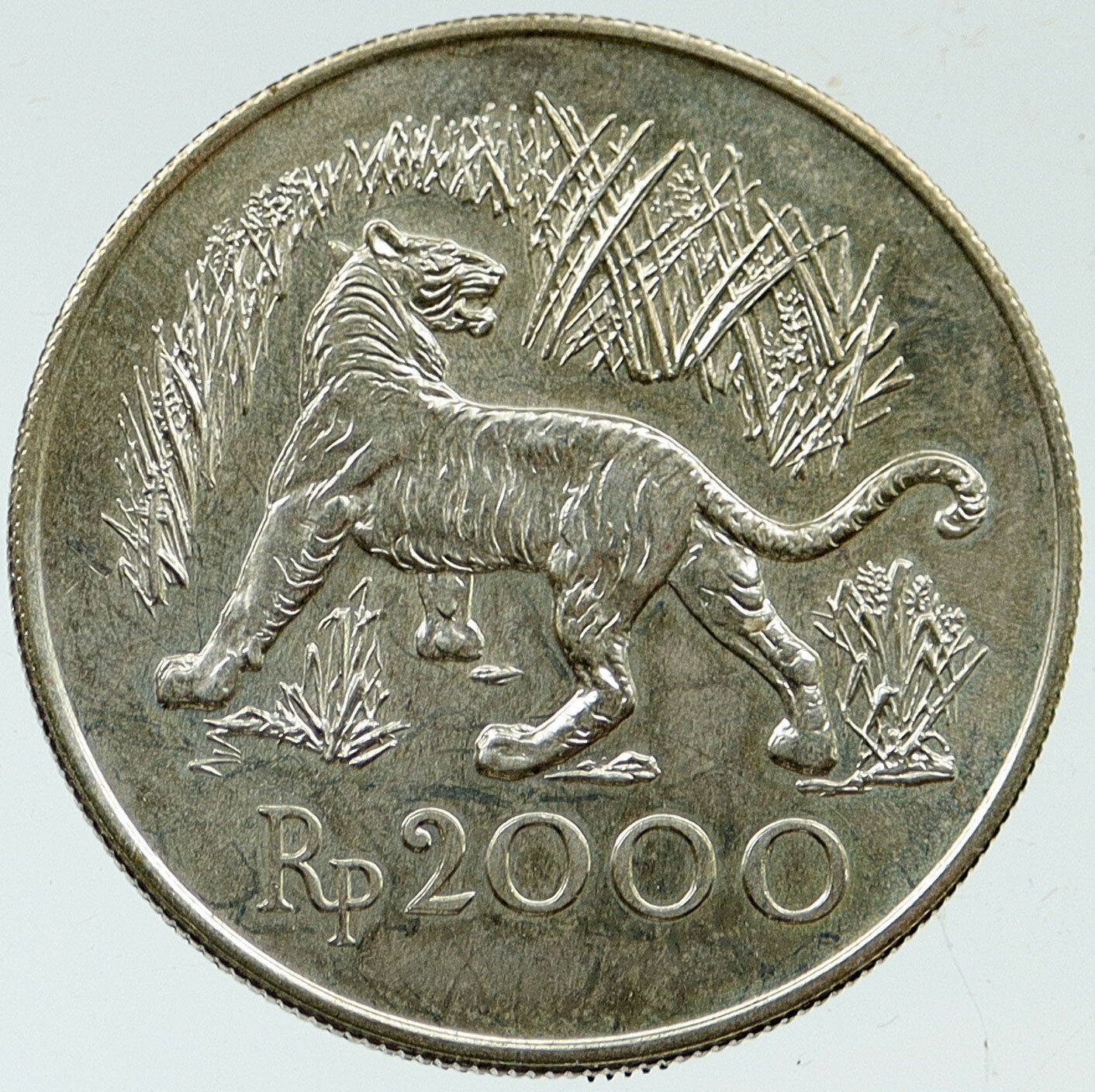 1974 INDONESIA Bank JAVAN TIGER Nature Animals Silver 2000 Rupiah Coin i116954