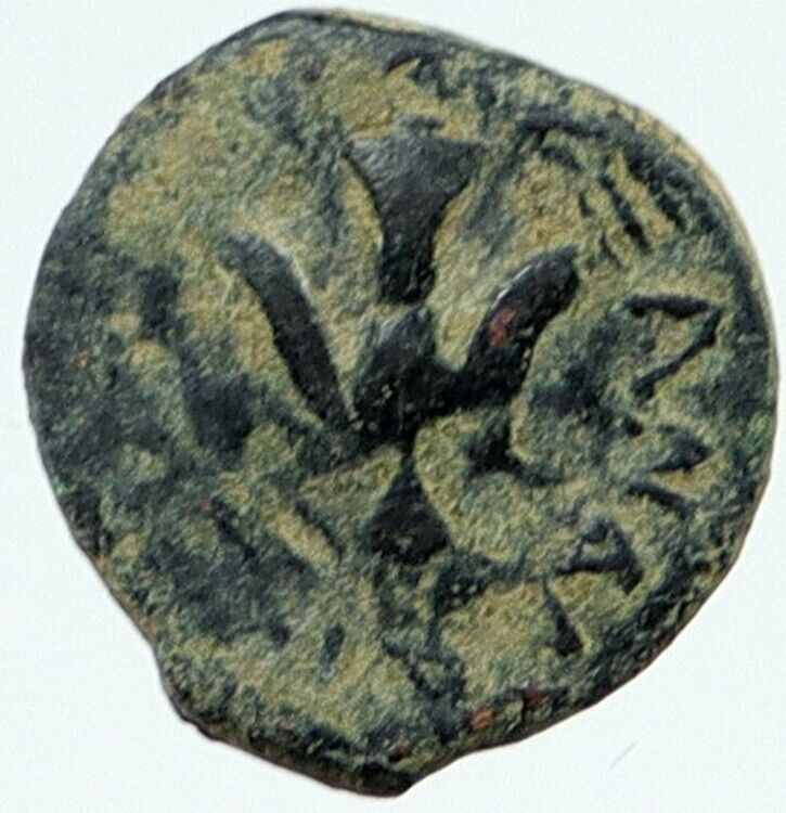 ALEXANDER JANNAEUS Biblical Jerusalem Jewish Widow's Mite Coin HEND 1153 i117251