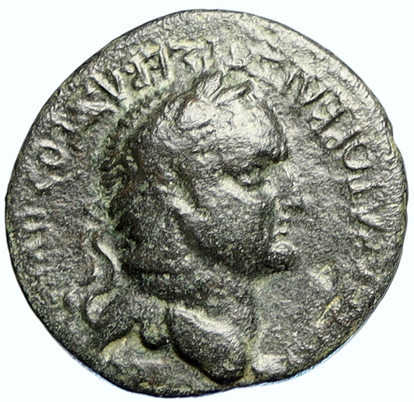 VESPASIAN Authentic Ancient Roman Coin Apameia Phrygia GRAIN EARS i111525