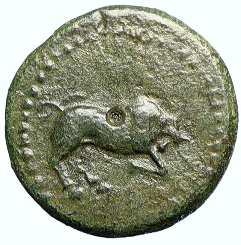 KYZIKOS Cyzicus in Mysia 2-1CnBC Authentic Ancient Greek Coin BULL TORCH i111546