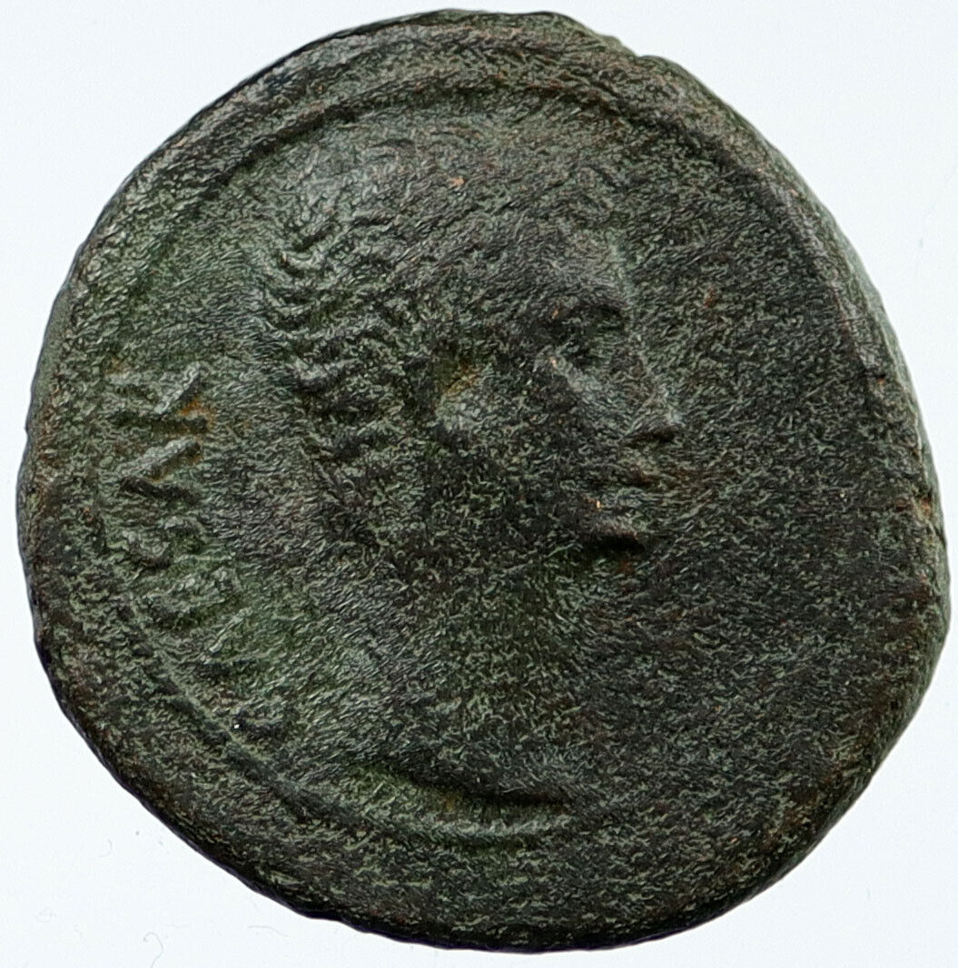 AUGUSTUS 25BC Original Genuine Authentic Ancient Roman Coin EPHESUS i118004