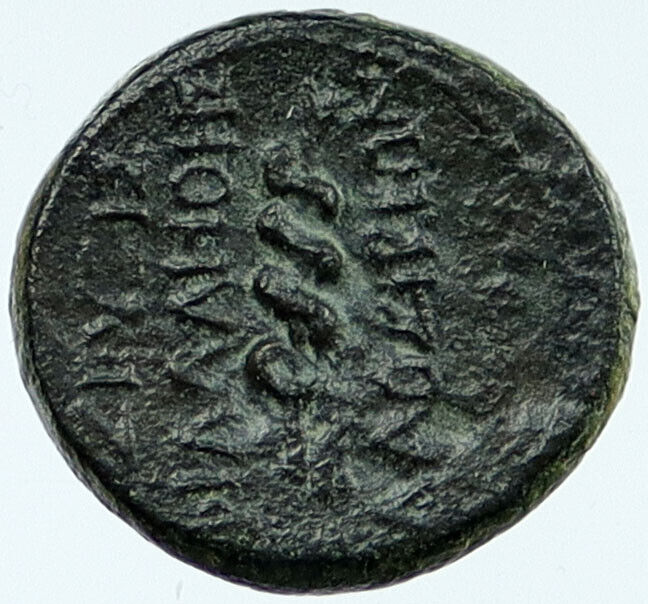 AUGUSTUS 15BC Laodicea ad Lycum PHRYGIA Ancient Roman Coin SERPENT STAFF i118058