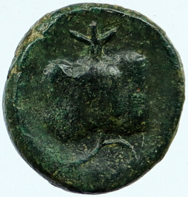 SIDE in PAMPHYLIA 200-27BC Genuine Ancient Greek Coin ATHENA POMEGRANATE i118087