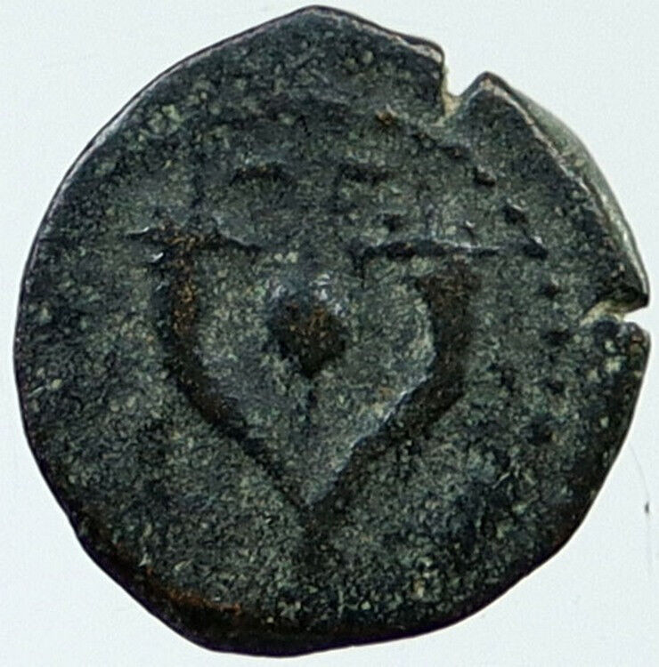 Ancient JEWISH King HYRCANUS I Bible Greek Times HEBREW COIN Hendin 1133 i117622