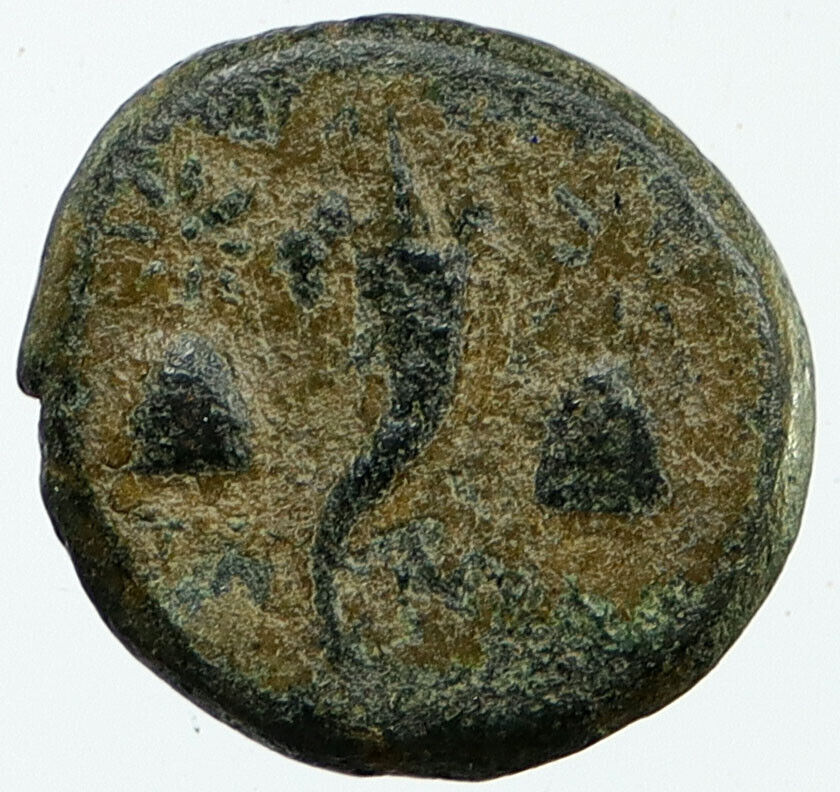 Adramytion in Mysia 133BC Authentic Ancient Greek Coin APOLLO CORNUCOPIA i115978