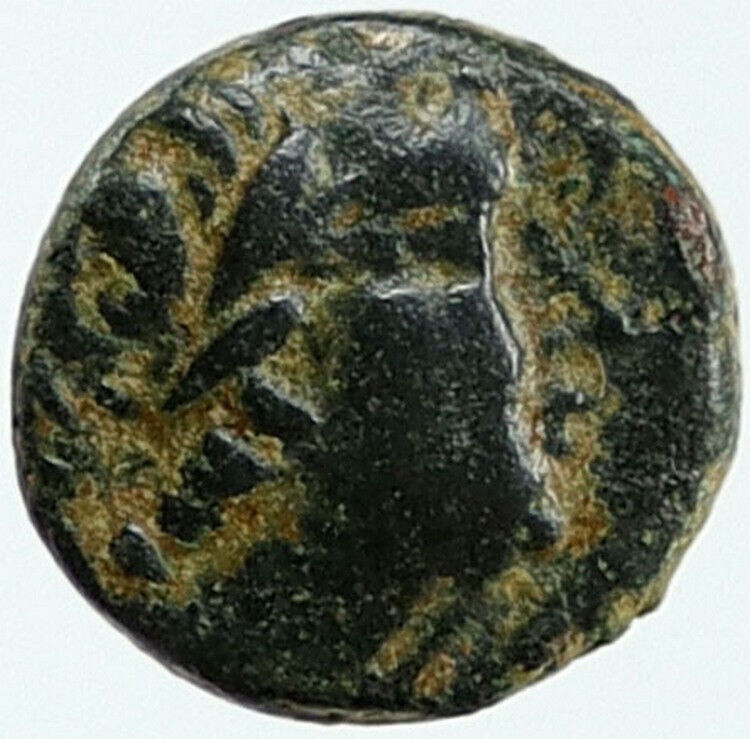 SELEUKOS III KERAUNOS 225BC Ancient Greek SELEUKID King Coin APOLLO i115513