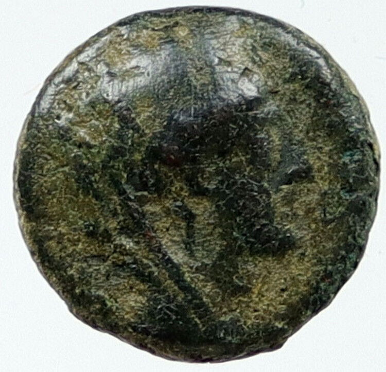 ANTIOCH on the ORONTES Seleukis Pieria Ancient 29BC RARE R3 Greek Coin i115549