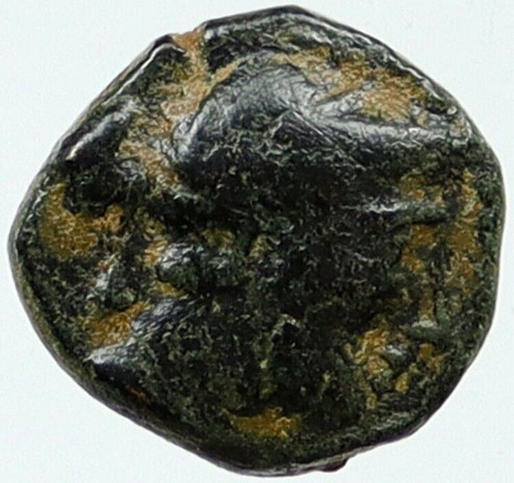 SELEUKOS III Keraunos 225BC Seleukid Ancient Greek Coin ARTEMIS APOLLO i115596