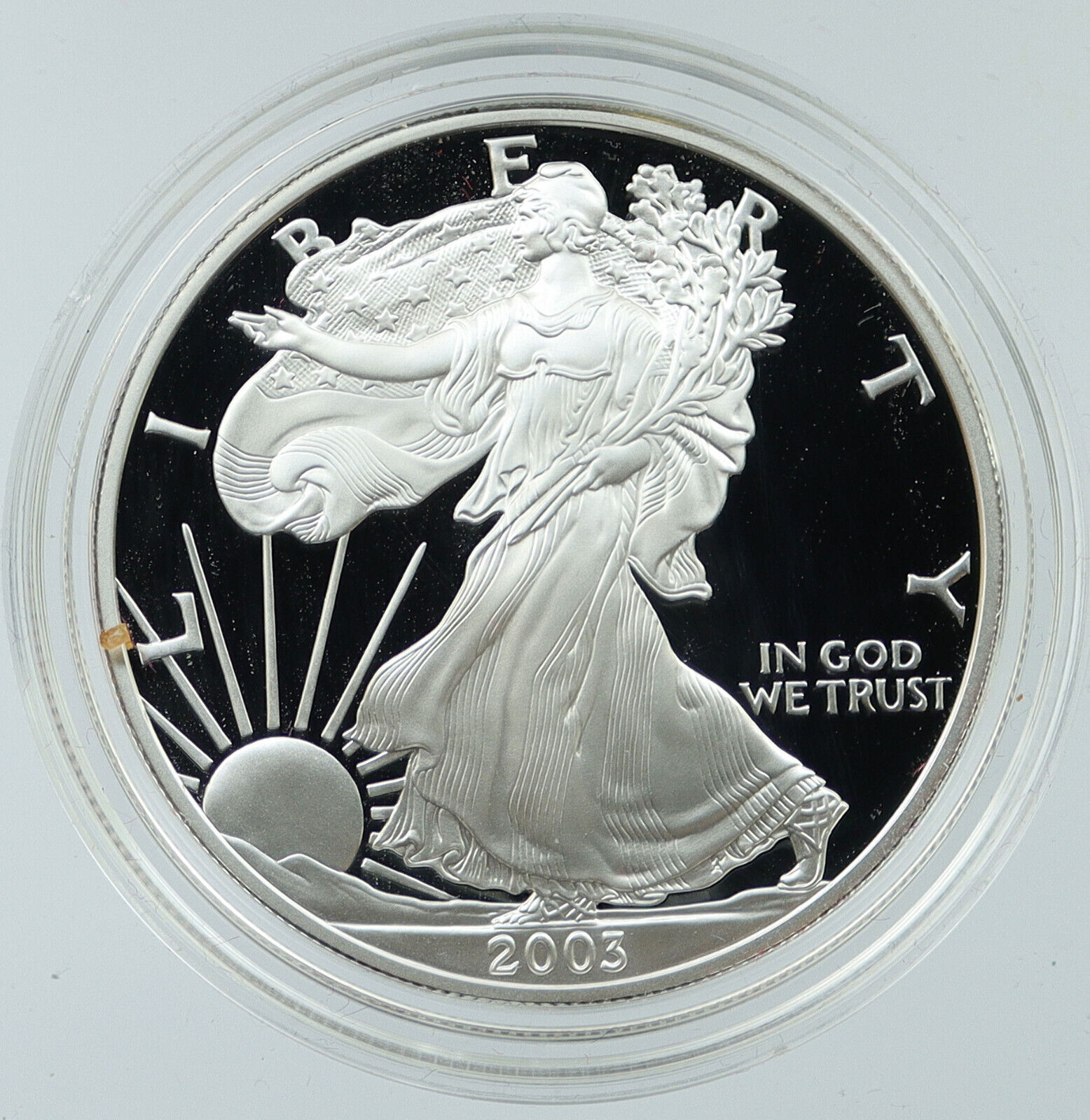 2003 UNITED STATES USA American Eagle & Liberty PROOF SILVER Dollar Coin i117785