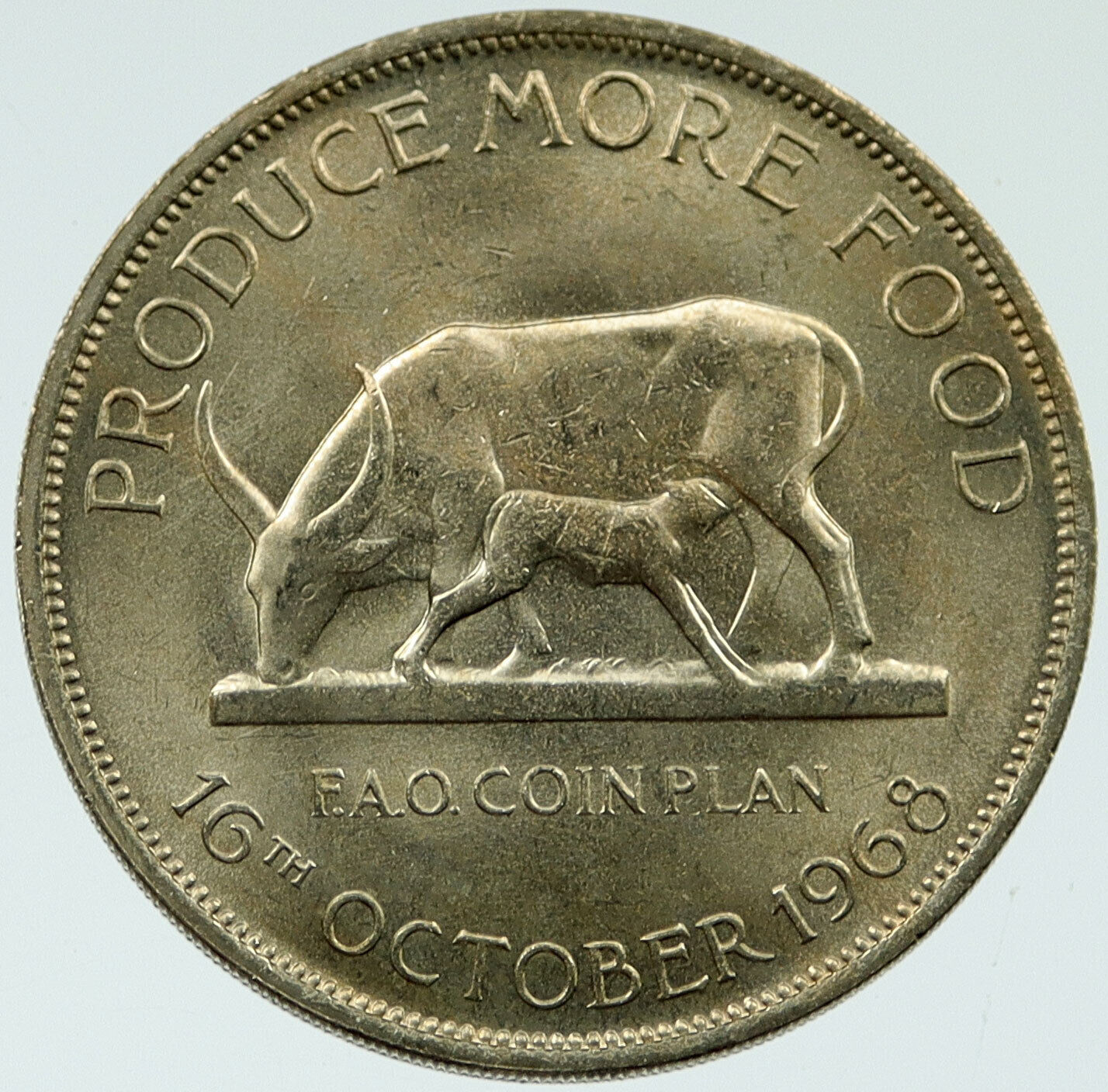 1968 UGANDA Commemorative FAO Grow Food Cow Calf 5 Shillings Coin i117289