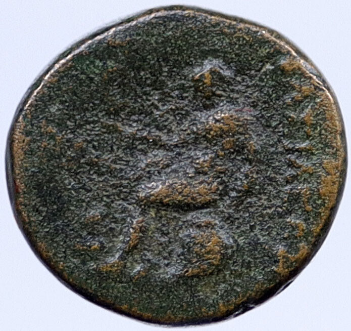 Seleukos III Keraunos 225BC Seleukid Hercules Apollo Ancient Greek Coin i118752