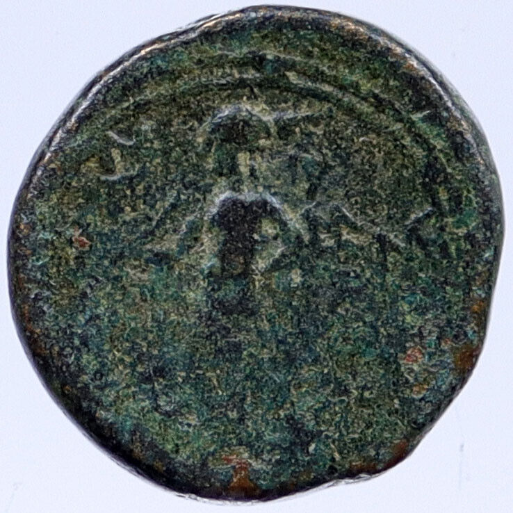 SELEUKOS II Kalliknikos ARTEMIS APOLLO 246BC Seleukid Ancient Greek Coin i118904