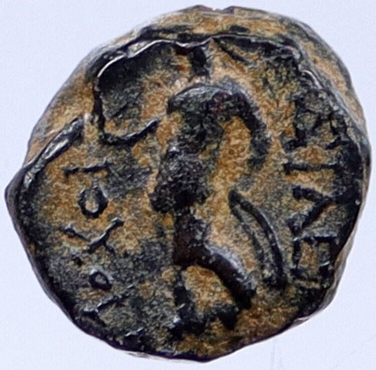 ANTIOCHOS III 222BC RARE R1 Ancient Greek SELEUKID King Coin APOLLO i118933