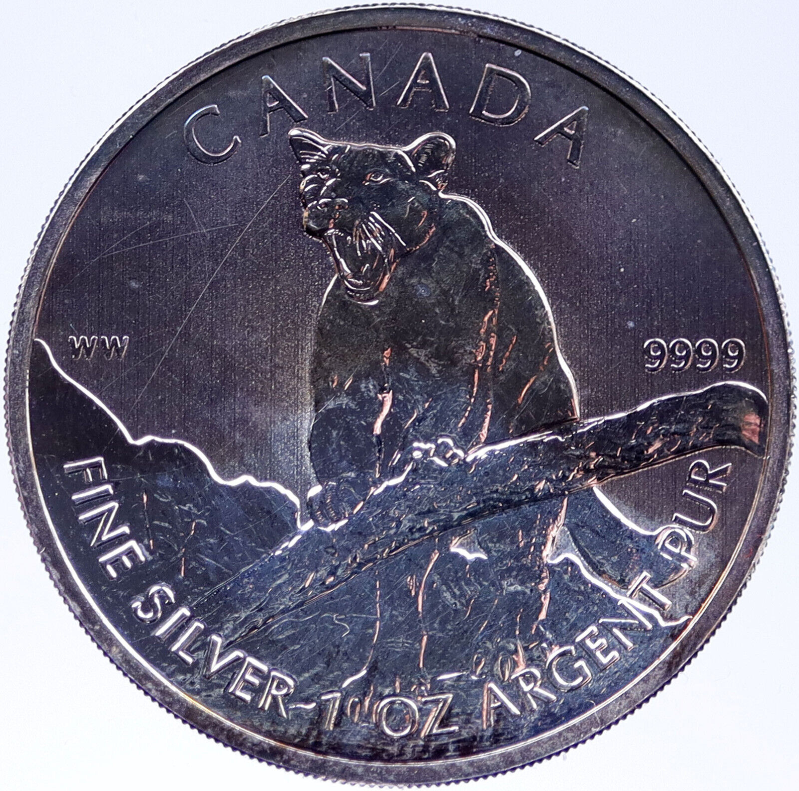 2012 CANADA Silver 5 Dollar CanadianCOUGAR Coin UK Queen Elizabeth II i118970