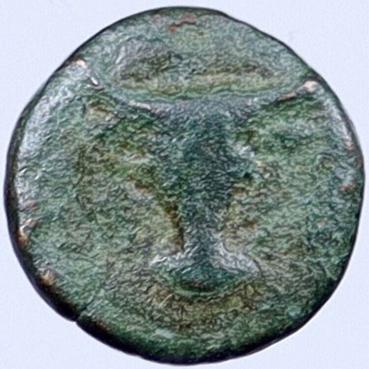 Ancient Greek City or Kingdom 300-100BC Original Coin APOLLO BUCRANIUM i119062