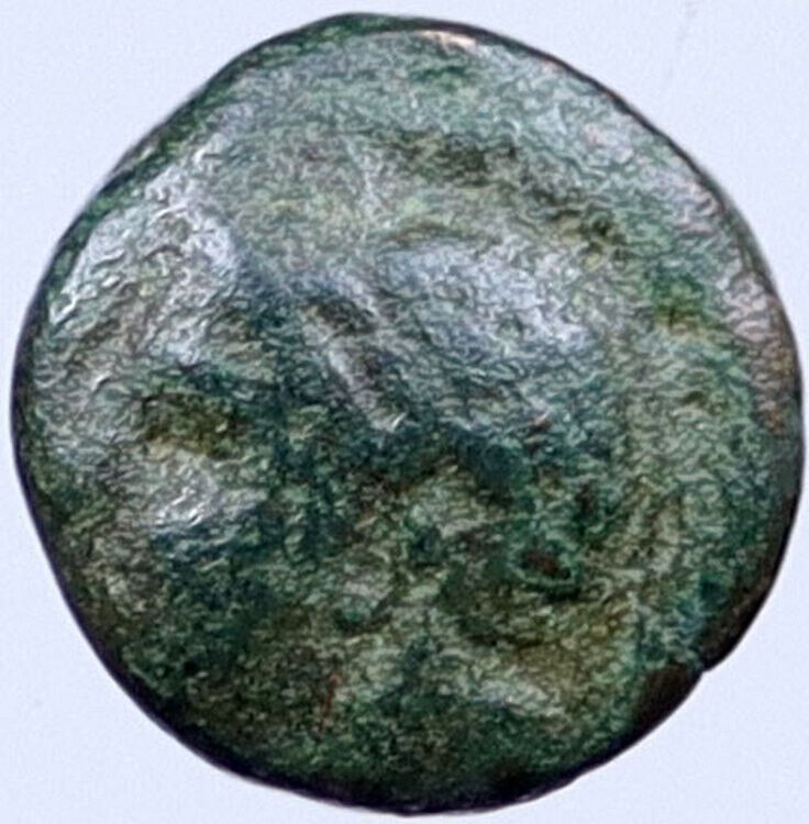 Ancient Greek City or Kingdom 300-100BC Original Coin APOLLO BUCRANIUM i119062